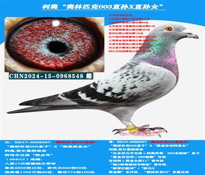 (多关赛首推)利奥“003”近亲回血