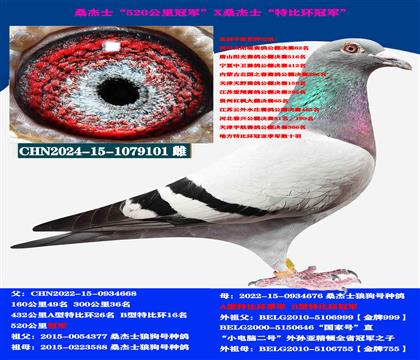 (山区地形 吃苦耐劳)桑杰士“双冠军”作出