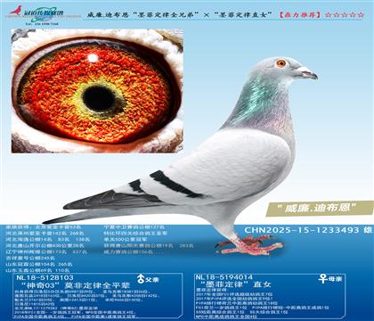 .ϲīƶȫֵܡīƶɡֱŮ