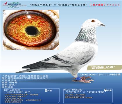 ûȫƽֱӡûֱ/ûȫƽ