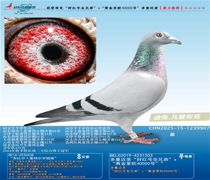 ǲˡúȫֵܡxƽŷ40000šؽ