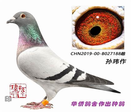 8--ϵ188-ֱϵرȻظ20