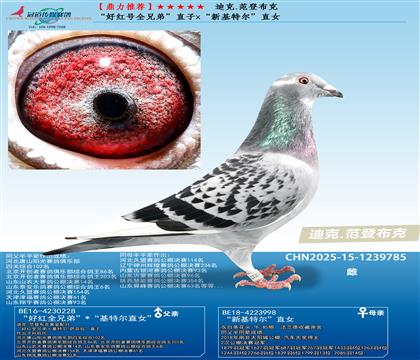 Ƽúȫֵܡֱx»ضֱŮ