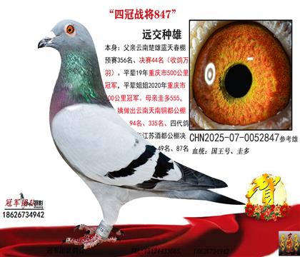 �ͣ��ͣ��Ķ�����Ѫ��һ�𣡣��Ĺ���ֱ�