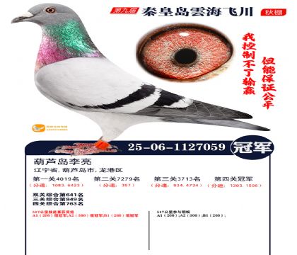 녺��ɴ������ھ�