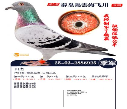 녺��ɴ���������