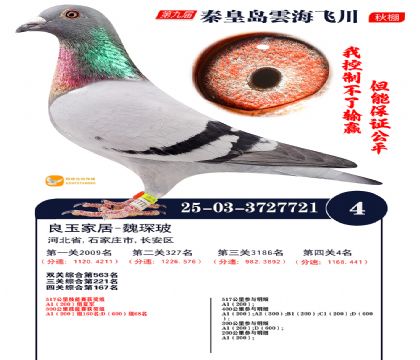 녺��ɴ�����4��