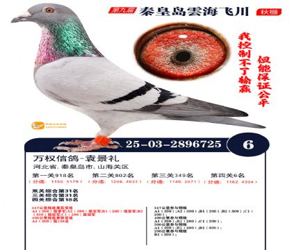 녺��ɴ�����6��