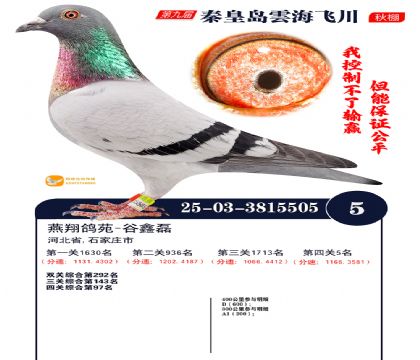 녺��ɴ�����5��