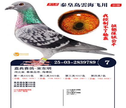 녺��ɴ�����7��