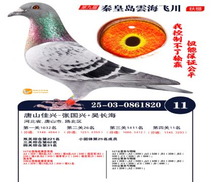 녺��ɴ�����11��