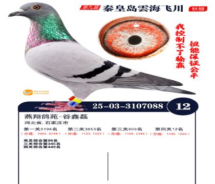 녺��ɴ�����12��