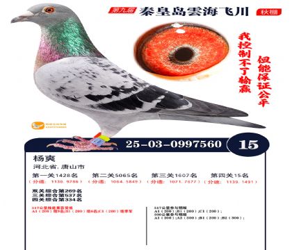 녺��ɴ�����15��