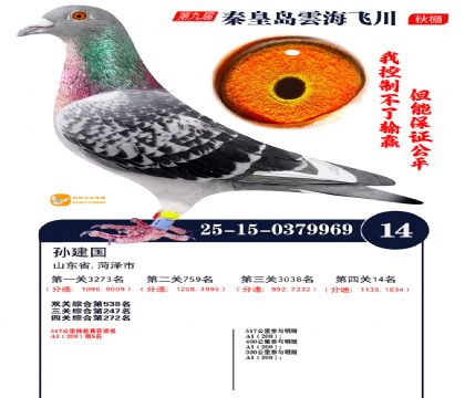 녺��ɴ�����14��