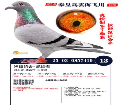 녺��ɴ�����13��