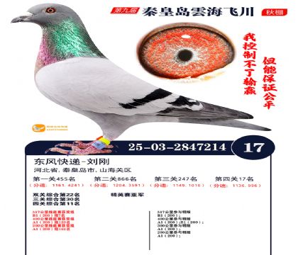 녺��ɴ�����17��