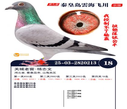 녺��ɴ�����18��