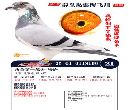 녺��ɴ�����21��