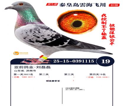 녺��ɴ�����19��