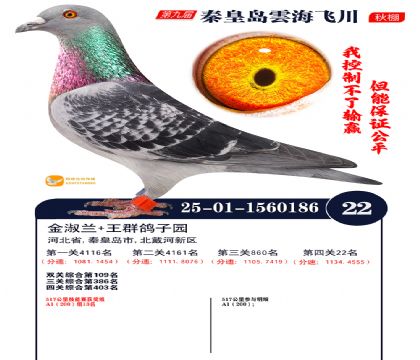 녺��ɴ�����22��