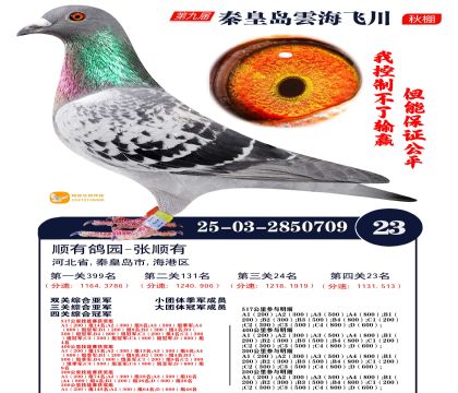 녺��ɴ�����23��