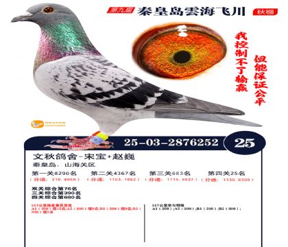 녺��ɴ�����25��