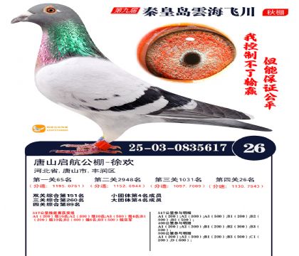 녺��ɴ�����26��