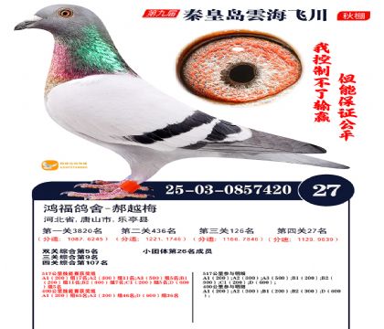 녺��ɴ�����27��