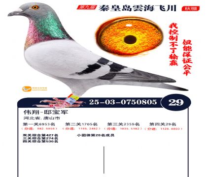 녺��ɴ�����29��