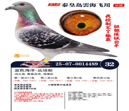 녺��ɴ�����32��