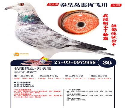 녺��ɴ�����36��