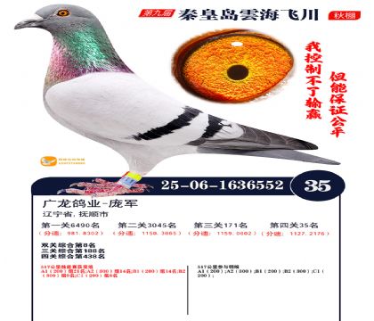 녺��ɴ�����35��