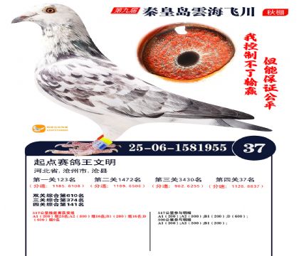 녺��ɴ�����37��