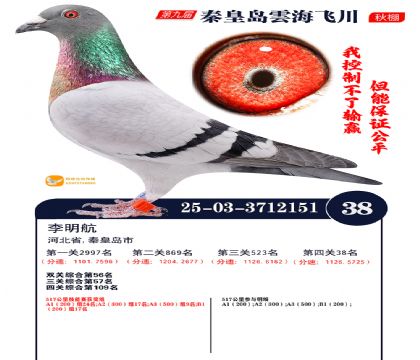 녺��ɴ�����38��