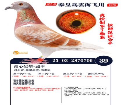 녺��ɴ�����39��