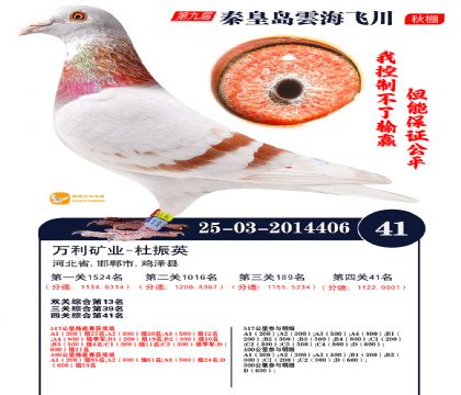 녺��ɴ�����41��