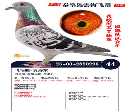 녺��ɴ�����44��