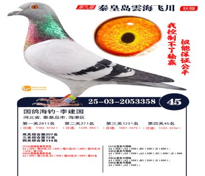 녺��ɴ�����45��