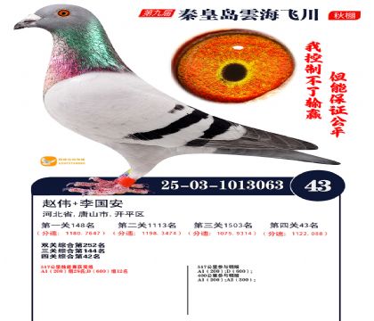 녺��ɴ�����43��