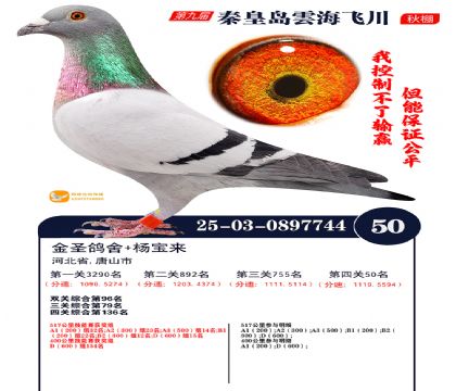 녺��ɴ�����50��