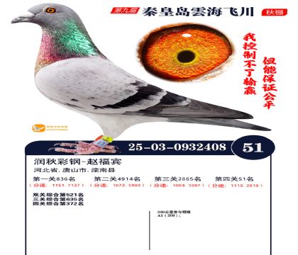 녺��ɴ�����51��