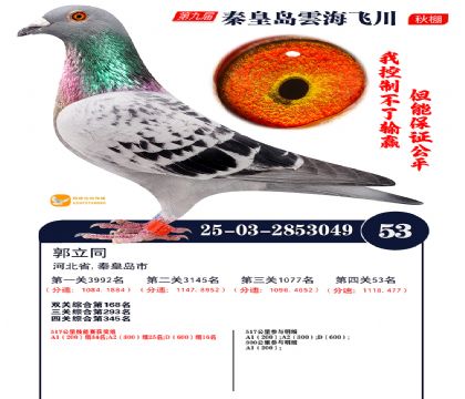 녺��ɴ�����53��