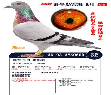 녺��ɴ�����52��