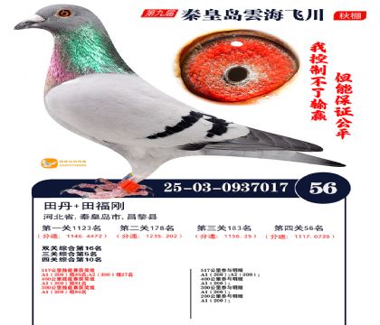 녺��ɴ�����56��