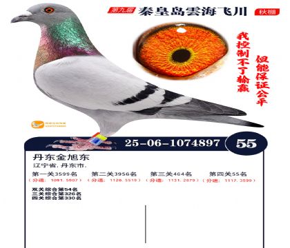 녺��ɴ�����55��