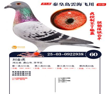 녺��ɴ�����60��