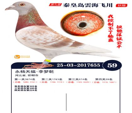 녺��ɴ�����59��