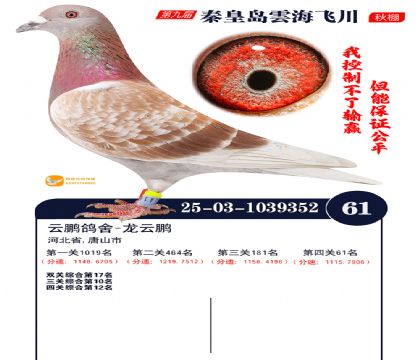 녺��ɴ�����61��