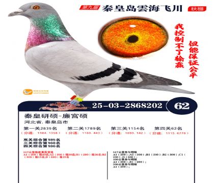 녺��ɴ�����62��