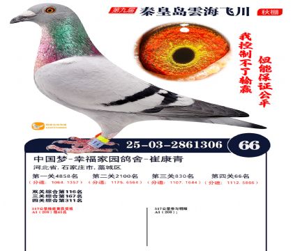 녺��ɴ�����66��